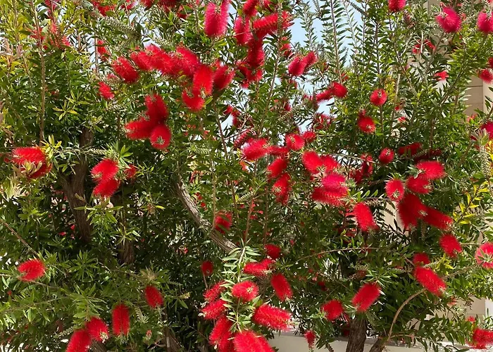 House In * Voroklini